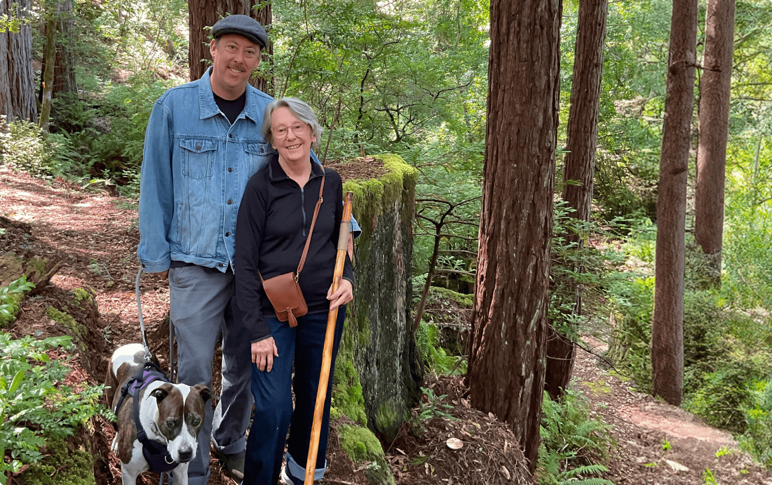 A family stands by a towering redwood tree in Better place forests Point arena, California