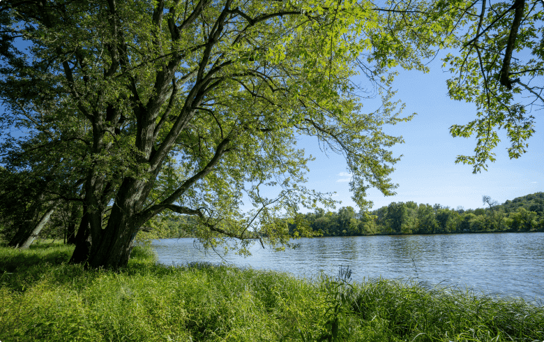 The Rock River in our Memorial Forest where Russell will be remembered 