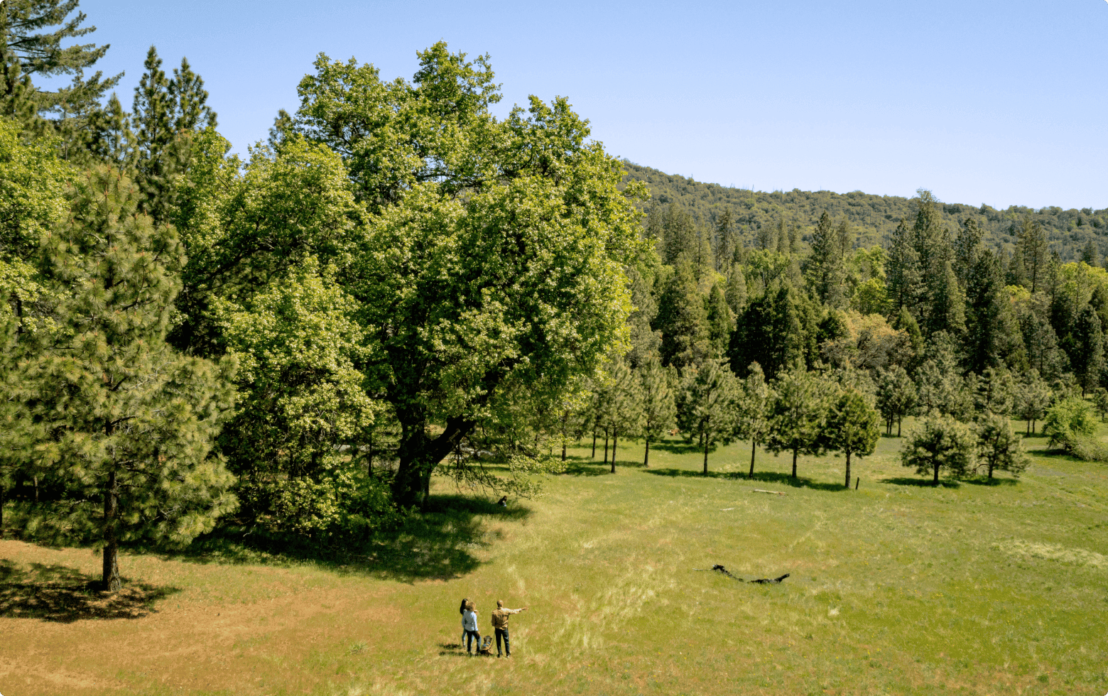 a family stands in a meadow talking about what legacy they want to leave behind