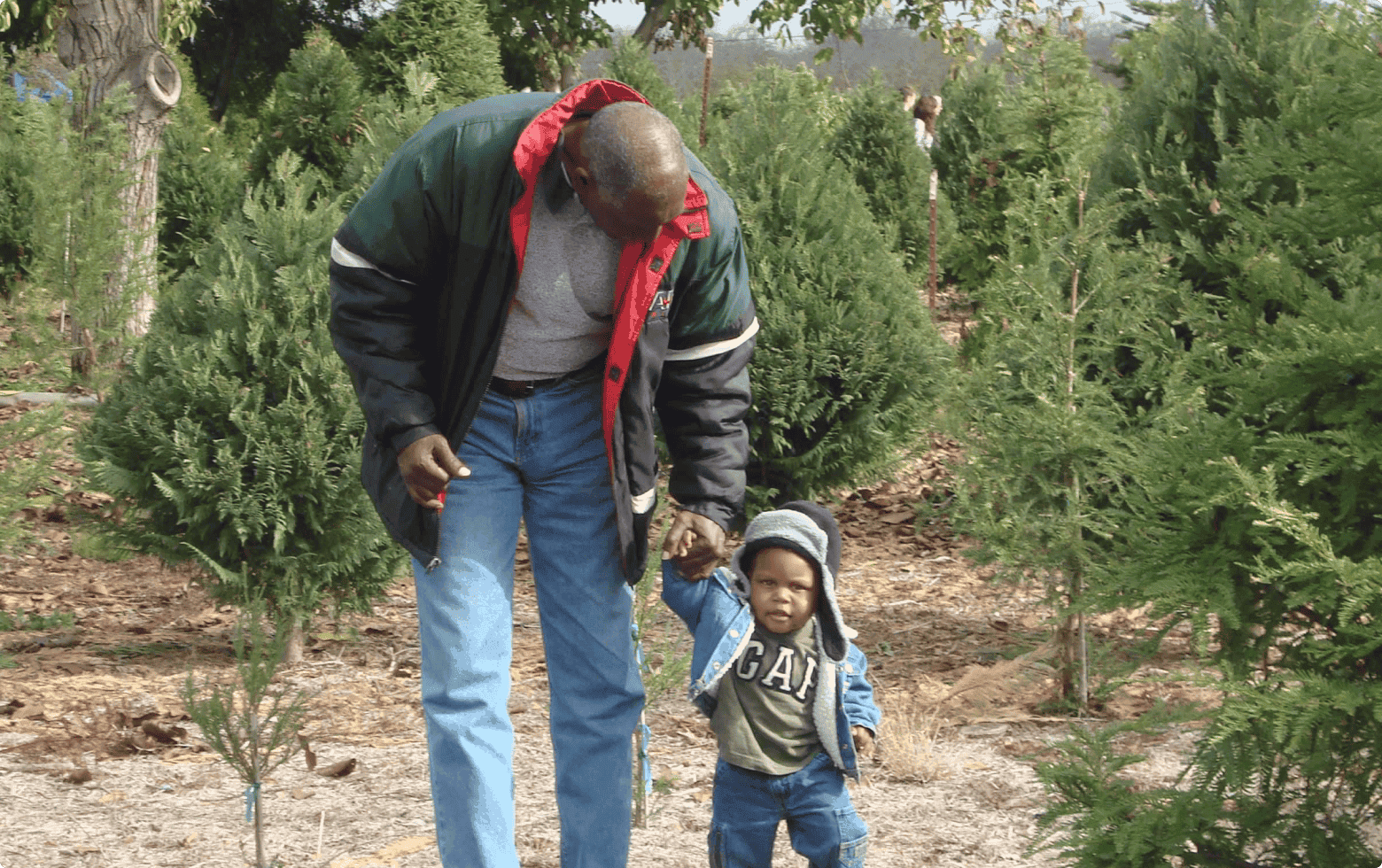 family finds a way to honor dad's legacy with a memorial tree after cremation