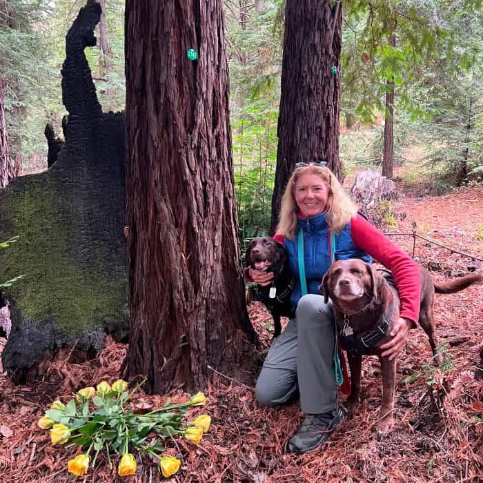 woman with her dogs at her husbands memorial tree