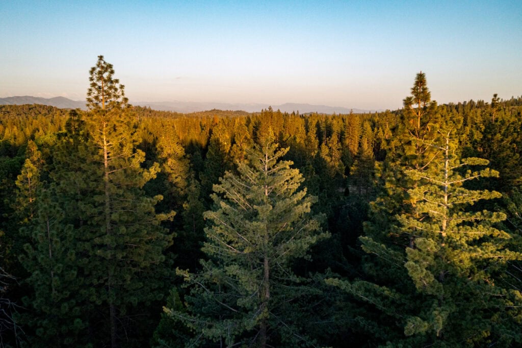 birds eye view of yosemite gateway memorial forest