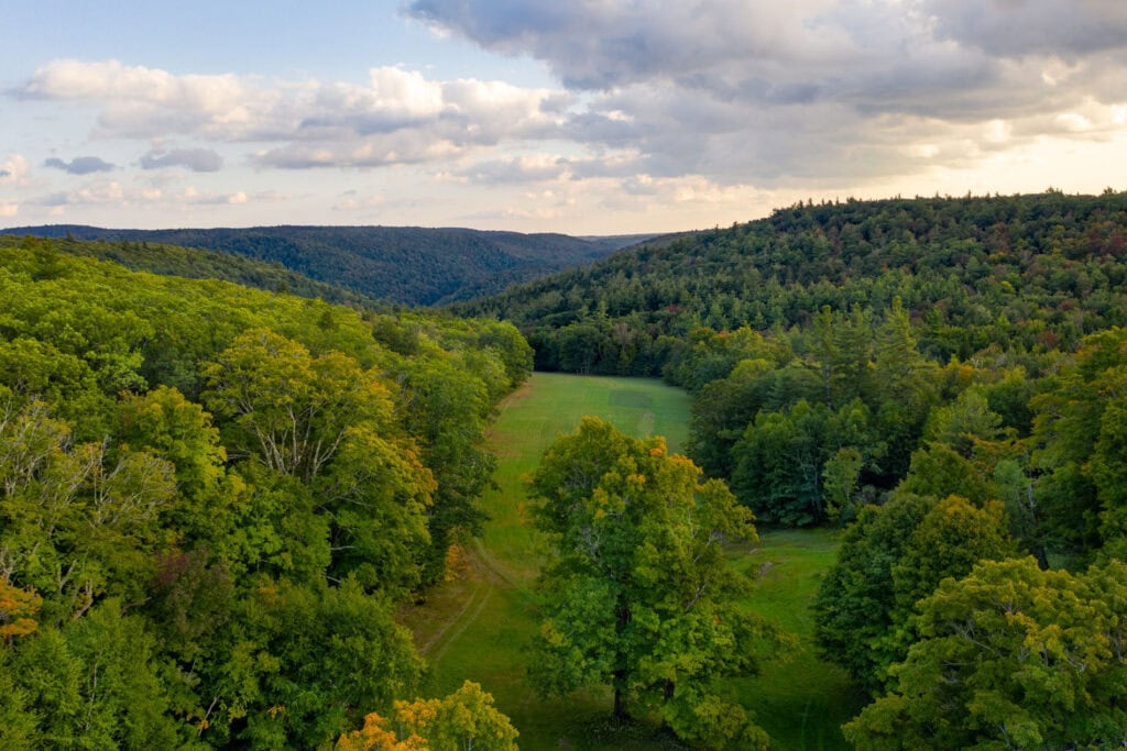 aerial view of our berkshires memorial forest