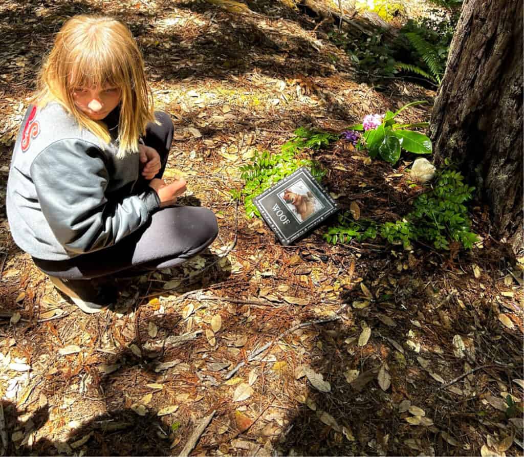 a loving pet tribute beneath a redwood tree