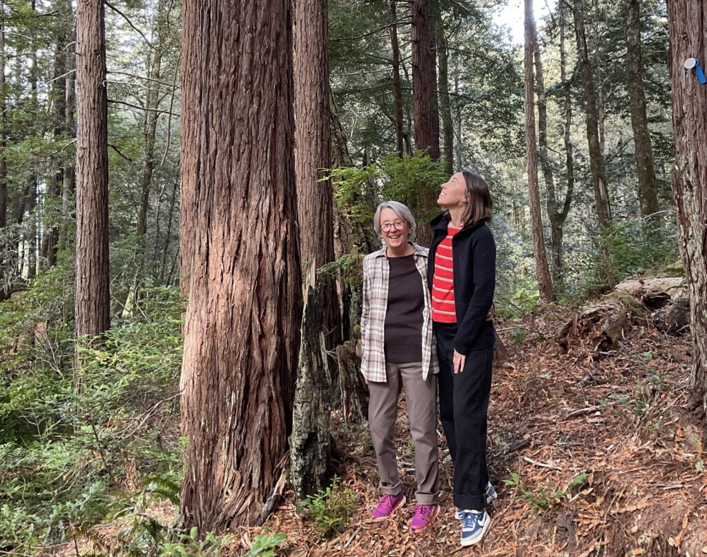 mom and daughter find the perfect place to lay their loved one under a redwood tree