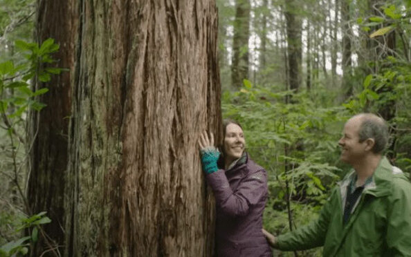 woman hugs her large memorial tree