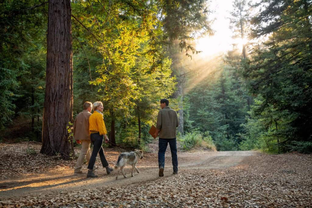 directions to our santa cruz forest