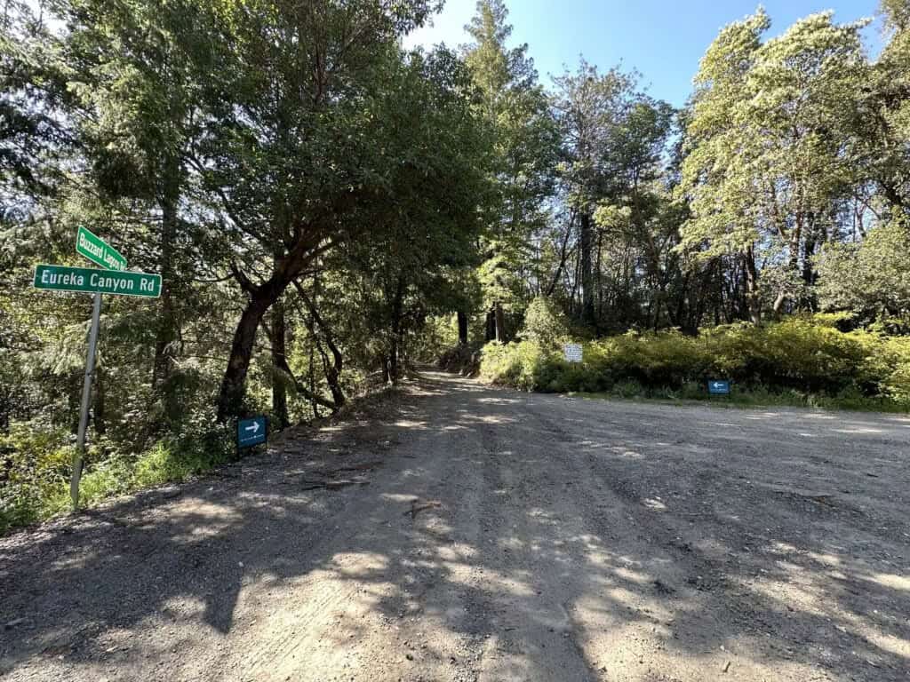 Turn onto Buzzard Lagoon Road