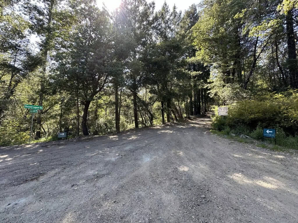 Turn onto Buzzard Lagoon Road to get to Better Place Forests Santa Cruz