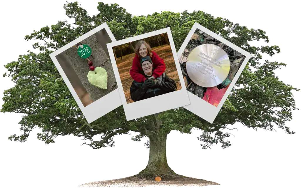 an oak tree with three polaroid images from a forest memorial