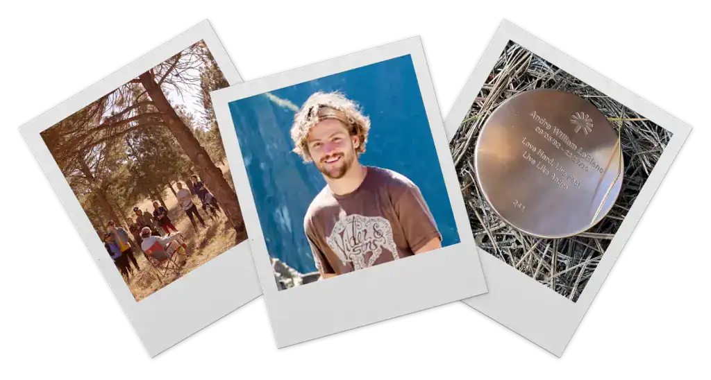 three polaroid images from a forest memorial