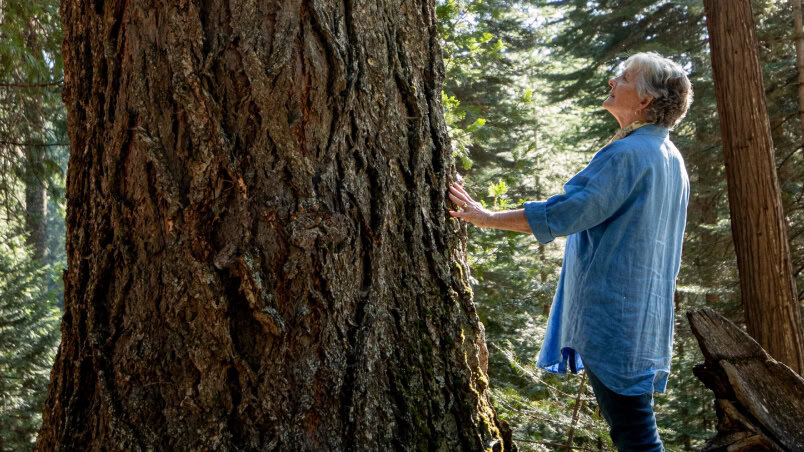 An older woman rests her hand on the trunk of a large tree.