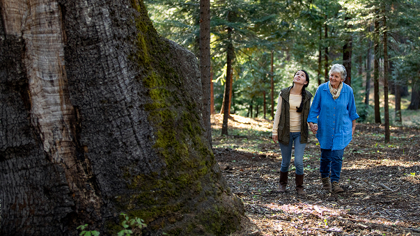 A younger woman and an older woman walk hand-in-hand through a sunlit forest, smiling and looking up at the trees